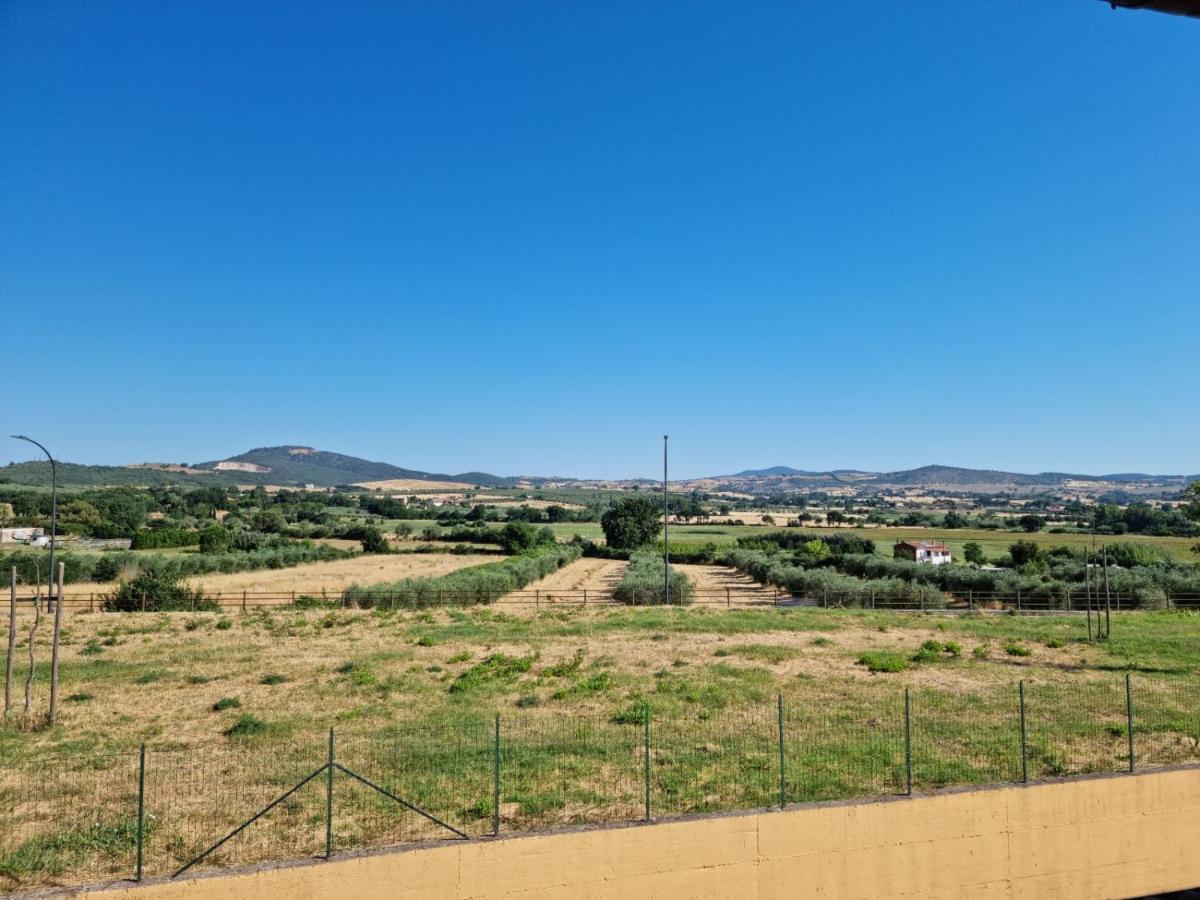 Istia Dream Apartment Istia dʼOmbrone Екстериор снимка